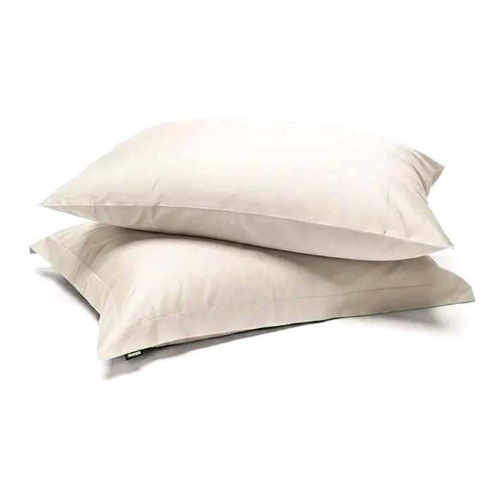 ציפיות לכרית 100% כותנה סאטן – 50/70